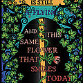 celtic impermanence