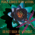 celtic peace