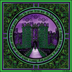 celtic sleeping beauty part III the journey