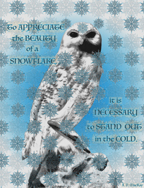 celtic snowy owl