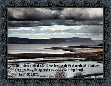 celtic storm