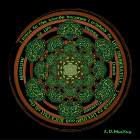 celtic tree of life mandala
