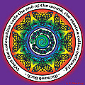 rainbow celtic butterfly mandala