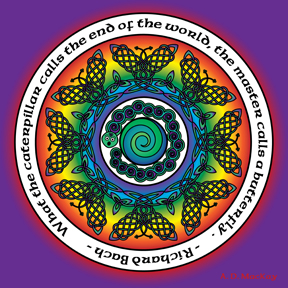 rainbow celtic butterfly mandala